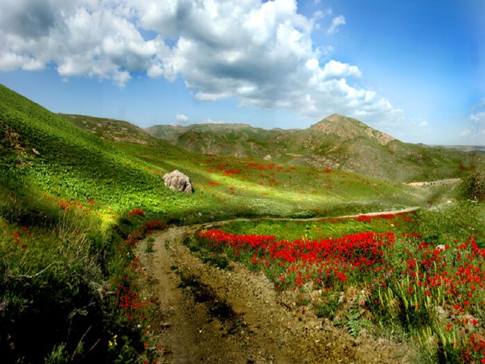 بومگردی، رونق‌بخش گردشگری روستایی خراسان رضوی