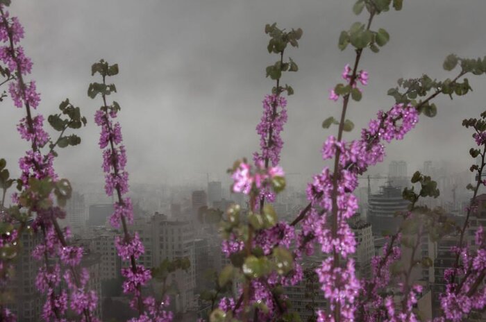 طلیعه مرداد با «قصرهای نامرئی خیال» در گالری گردی پایتخت