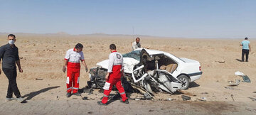 حوادث رانندگی جان ۲۱۶ بوشهری را گرفت