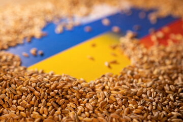توافقنامه صادرات غلات اوکراین؛ از جزئیات چه می‌دانیم؟