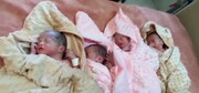 مادر چهارقلوهای تازه‌متولدشده ارومیه‌ای تحت پوشش رایگان بیمه سلامت قرار گرفت