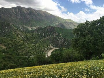 کوه «بمو» در ثلاث‌باباجانی به عنوان منطقه شکار و تیراندازی ممنوع اعلام شد