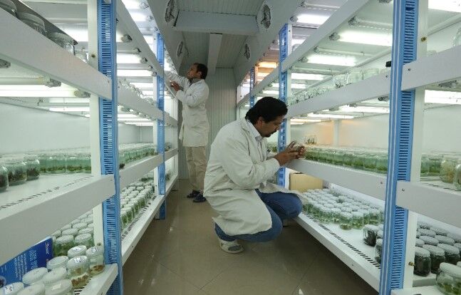 ۳۸ نمونه بیولوژیک جانوری اردبیل به بانک ژن کشور ارسال شد