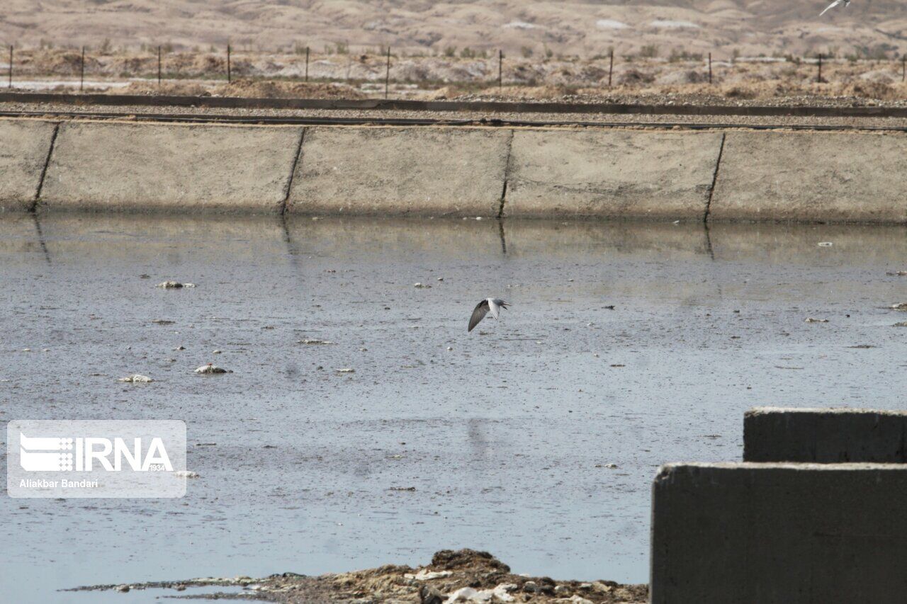 تصفیهخانههای پساب محلی در مناطق مختلف شهر سمنان ایجاد میشود تصفیهخانههای پساب محلی در مناطق مختلف شهر سمنان ایجاد میشود