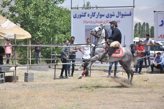 فستیوال کشوری شوی سوارکاری در مرند برگزار شد