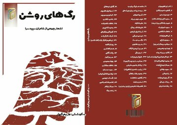 کتاب «رگ‌های روشن» به همت « مریم گمار » شاعر کرمانشاهی منتشر شد