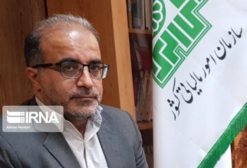 وصول اظهارنامه مالیاتی حقیقی در استان بوشهر ۸۰ درصد افزایش یافت