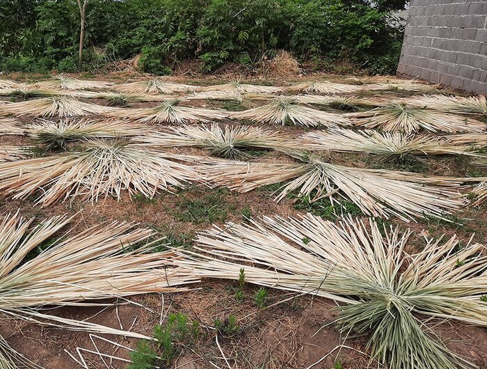فَشتَکه؛ نخستین روستای ملی حصیر کشور