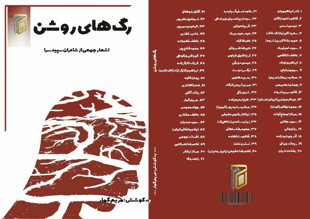 کتاب «رگ‌های روشن» به همت « مریم گمار » شاعر کرمانشاهی منتشر شد