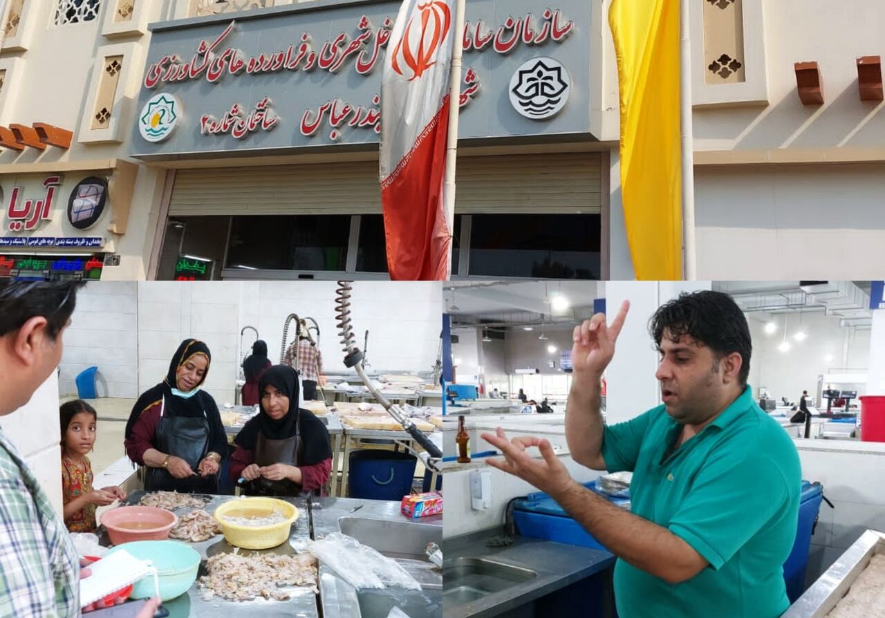 مدیریت دوگانه، حکایت تکراری مشکلات بازار ماهی فروشان بندرعباس مدیریت دوگانه، حکایت تکراری مشکلات بازار ماهی فروشان بندرعباس 