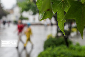 Lluvia de verano en Rasht
