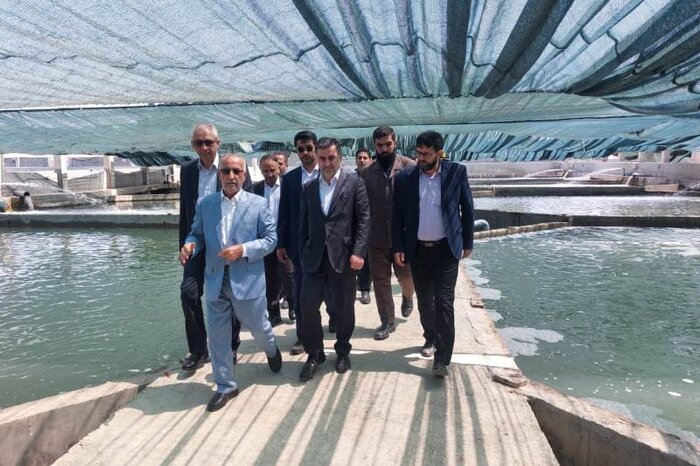 عزم دولت در تکمیل زنجیره تولیدات شیلاتی مازندران