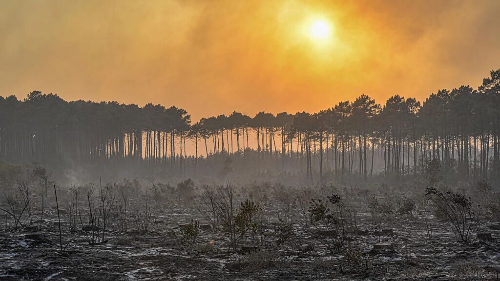 زیستگاه بسیاری از گیاهان و جانوران کمیاب در فرانسه بر اثر آتش‌سوزی‌ها از بین رفت