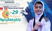 یک گلستانی نخستین مدال طلای نونهالان ایران در مسابقات تکواندوی جهان را کسب کرد