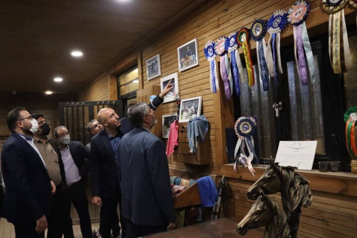 معاون وزیر ورزش: همدان ظرفیت بالقوه در صنعت تولید اسب دارد