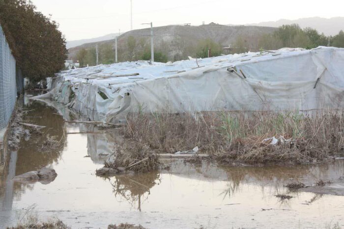 سیلاب به ۴۰ هکتار از باغات و گلخانههای پاکدشت خسارت وارد کرد