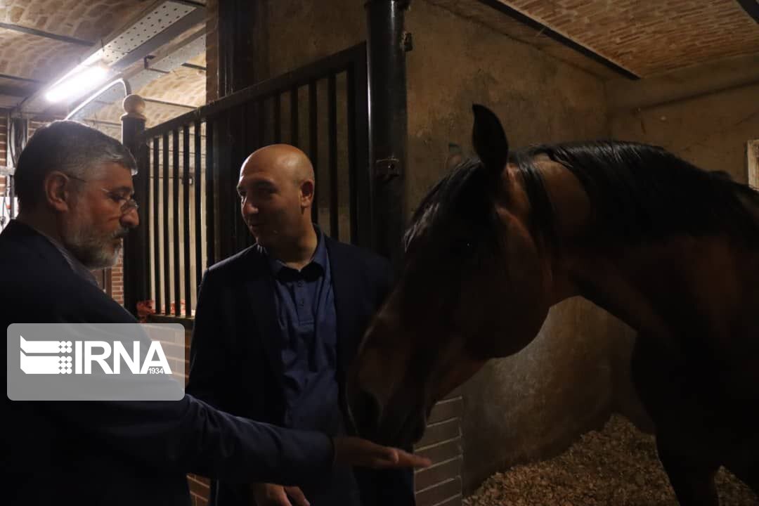 معاون وزیر ورزش: همدان ظرفیت بالقوه در صنعت تولید اسب دارد