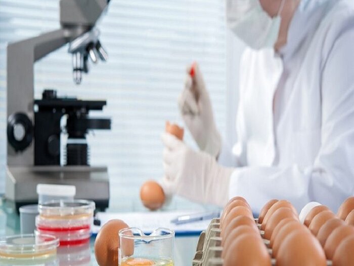 پژوهش و نوآوری، ضرورت تضمین مصونیت غذایی