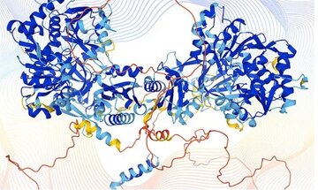 هوش مصنوعی ساختار ۲۰۰ میلیون پروتئین را آشکار کرد
