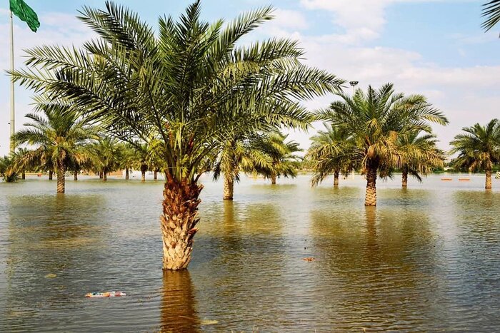 خسارت 2 هزار میلیاردی در سیستان و بلوچستان و شادمانی برای باران چله تابستان 6