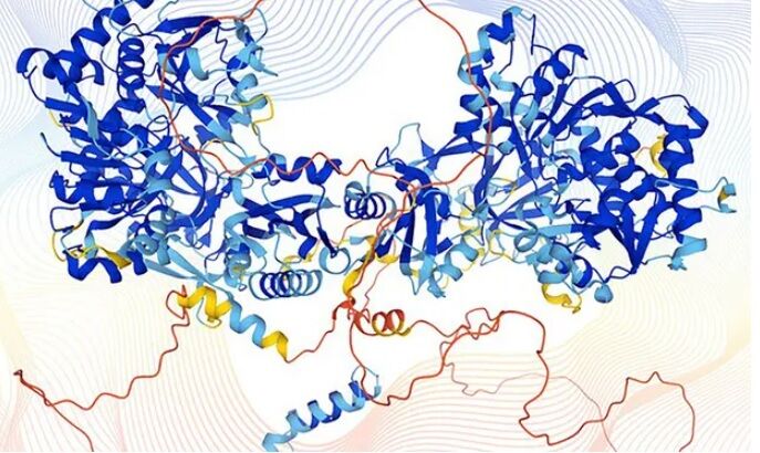 هوش مصنوعی ساختار ۲۰۰ میلیون پروتئین را آشکار کرد