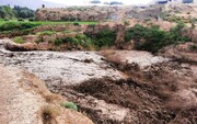 فرماندار کلات: سیلاب ۲۵۰۰ میلیارد ریال به کشاورزی این شهرستان خسارت زده است 
