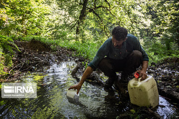 Iran : les éleveurs des forêts hyrcaniennes ; Galesh