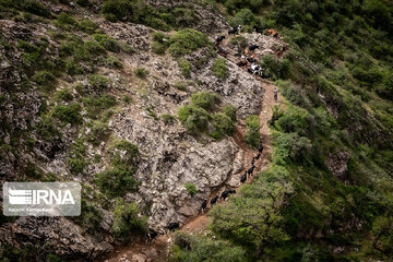 Iran : les éleveurs des forêts hyrcaniennes ; Galesh