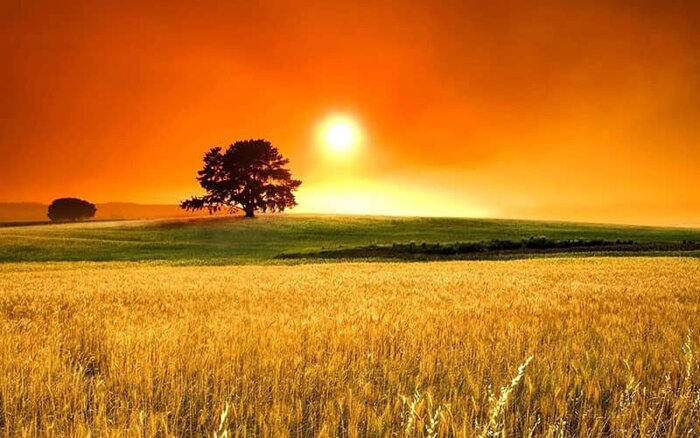 جشن چله تابستان؛ از جشنهای فراموش شده ایرانی