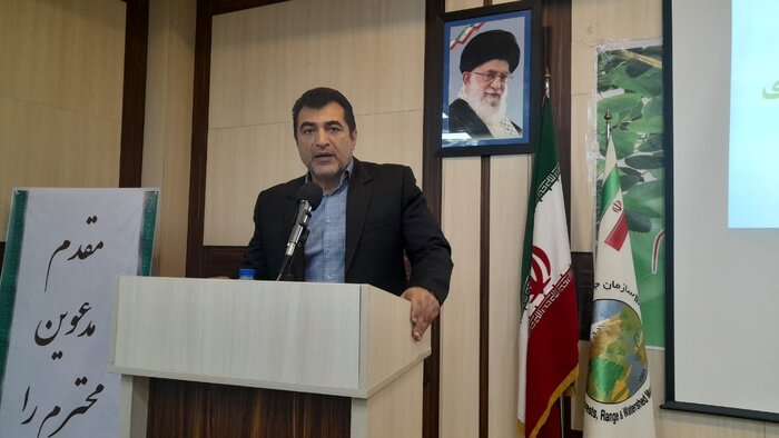 مدیریت جنگلهای هیرکانی به پشتوانه علمی پایدار نیاز دارد