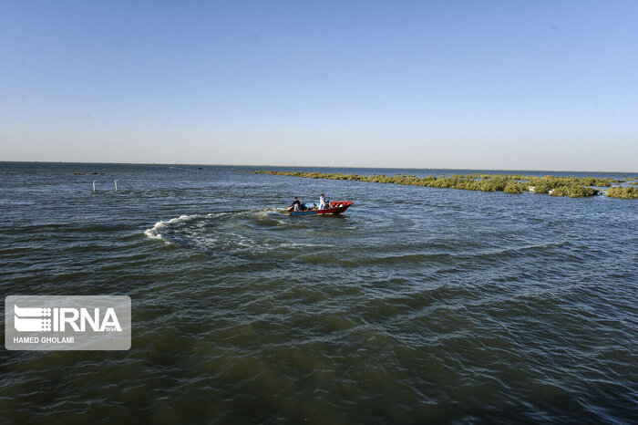 از ادامه اعتراضات در عراق تا تاکیدطالبان برپرداخت حقابه ایران بر اساس توافقنامه هلمند