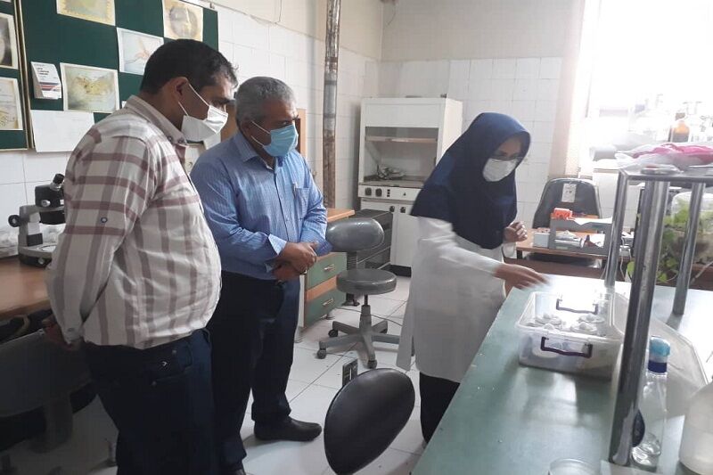 روش‌های جدید مبارزه با سالک با همکاری استادان دانشگاه در اصفهان ارائه می‌شود