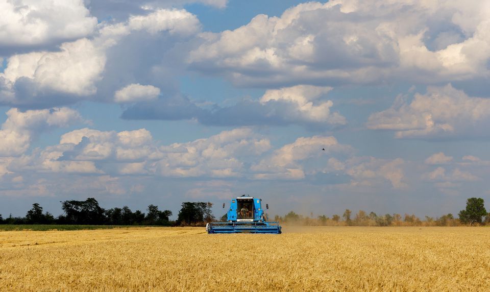پیش بینی روسیه درباره افزایش برداشت غلات این کشور 