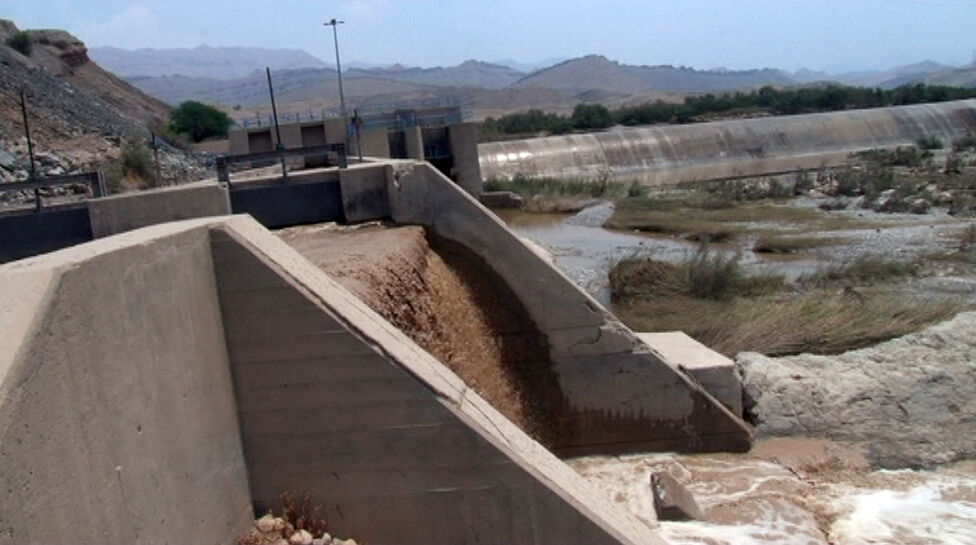 نخلداران وحدتیه دشتستان خواستار رها سازی آب سد سرقنات در نخلستان های منطقه شدند