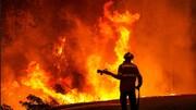 آتش سوزی جنگلی گسترده در اروپا؛ ۴ برابر ۱۵ سال گذشته