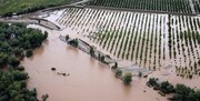 بارندگی‌ها به کشاورزان خراسان شمالی خسارت زد 