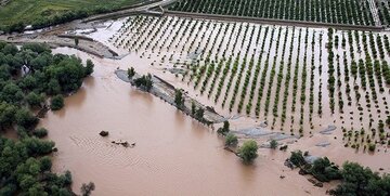 سیلاب تابستانی بیش از ۲۸۰۰ میلیارد تومان به کشاورزی فارس خسارت زد