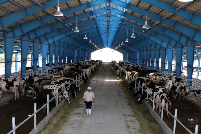 رئیس هیات مدیره کشت و صنعت مغان: مخالف واگذاری این شرکت به بخش خصوصی هستم