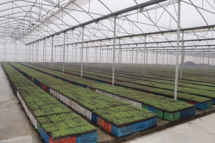 فاصله دور کشاورزان استان اردبیل با صدای پای آب