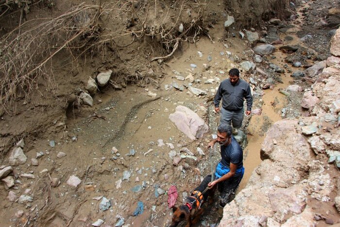 عملیات جستوجو برای فرد مفقود در شمیرانات ادامه دارد