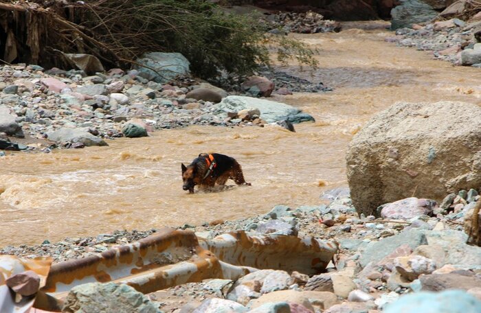 عملیات جستوجو برای فرد مفقود در شمیرانات ادامه دارد