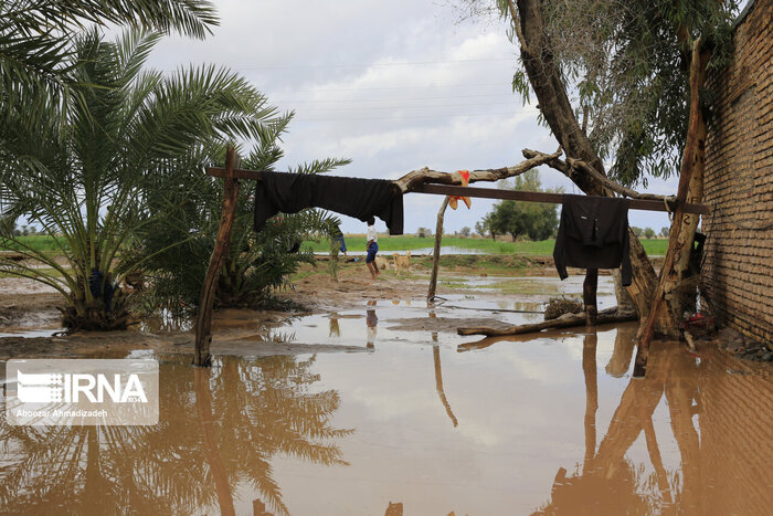 سهم تالابها از سیل/ چرا سیلاب اخیر این حجم خسارت به همراه داشت