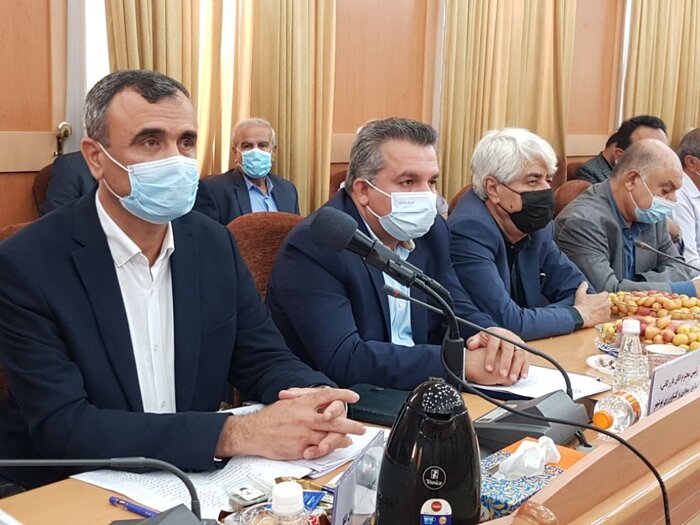 نماینده مجلس: تاسیس سازمان خرما در کشور ضروری است