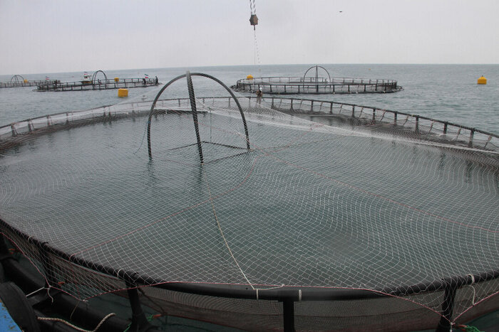 ۵۹۲ طرح در شهرکهای صنعتی استان بوشهر در دست اجرا است