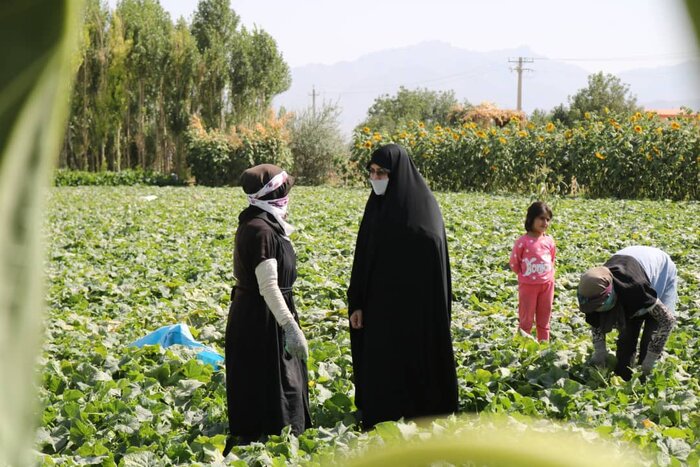 بررسی مشکلات و درخواستهای شاغلان کارگاههای همدان با حضور معاون رییس جمهور