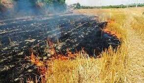 آتش سوزی گسترده در مزارع و باغستان های گچساران مهار شد