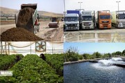 پایتخت بهار نارنج ایران در مسیر توسعه/بازگشت ۱۸ واحد صنعتی راکد به چرخه تولید در بابل