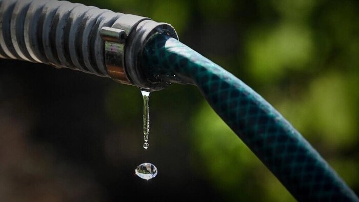 روایتی از یک خبرI تابستانی که نفس قاره سبز را برید