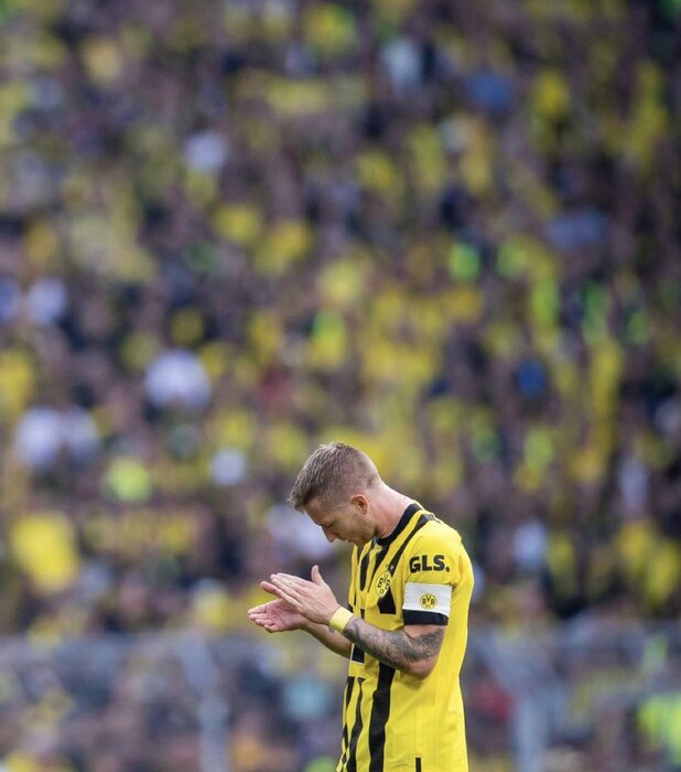 نخستین شکست در وِستفالن؛ نیش زنبورها یاران آزمون را از پا درآورد