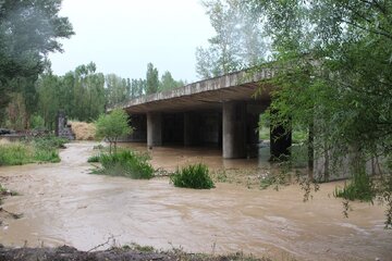 بارندگی شدید در ممسنی فارس خسارتهای زیرساختی داشت
